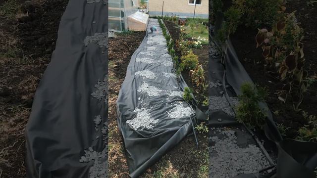 Торговая площадка и череночник. смотреть онлайн