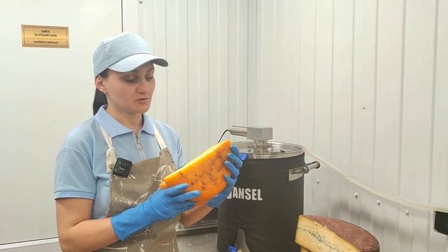 Мастер класс / Как сделать сыр Кентукки / Горячее и холодное копчение сыра / СЫРОВАРНЯ FANSEL PRO смотреть онлайн