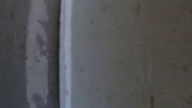 саша гемберг