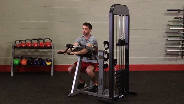 Body-Solid GCBT-STK PRO-Select Biceps & Triceps Machine (Body-Solid.com)