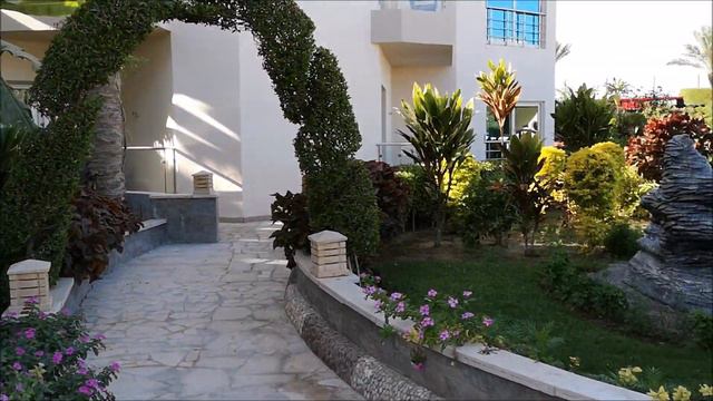 ОБЗОР отеля СИГАЛ ХУРГАДА\Отель SEAGULL Beach Resort 4* | Хургада Египет канал Дружная Семья