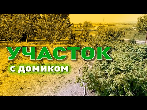 Участок 8 сот. с летним домиком смотреть онлайн