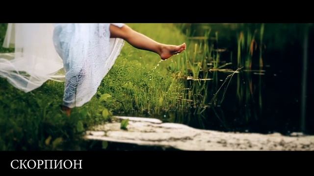 2021 Год Быка одарит знаков Зодиака стихии Воды крутыми сюрпризами и роковыми изменениями в жизни смотреть онлайн