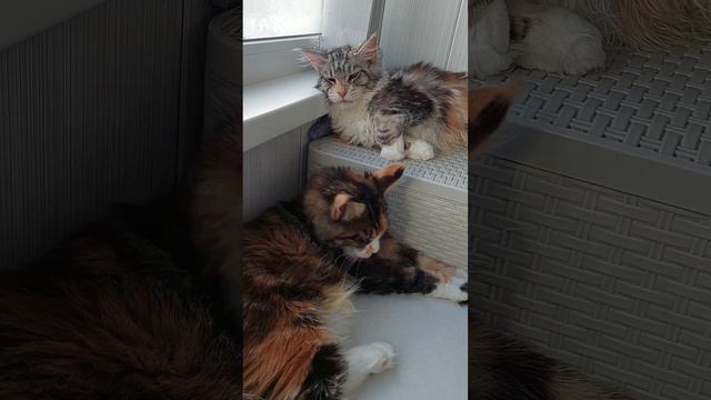 памятка клиента смотреть онлайн