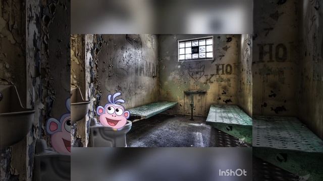 Песня про Дашу и животное но мем версия@HolyBaam смотреть онлайн