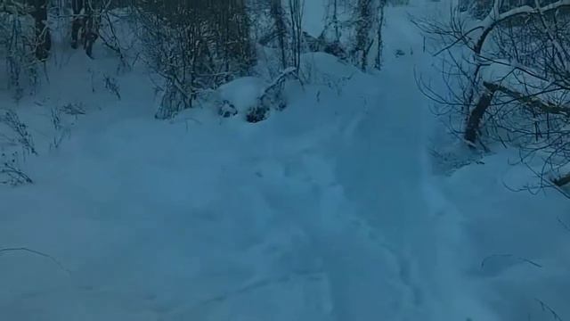 Фокино смотреть онлайн