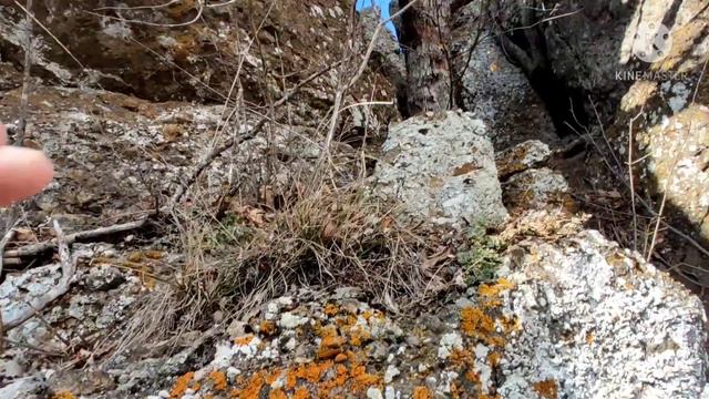 Южная Демерджи. Центральный кулуар Печ-Хая- Тогай(Солнечной поляны), Ч.2 смотреть онлайн