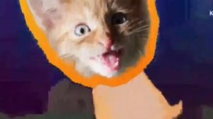 Карусель Классик анонс Симба (10.11.2023).