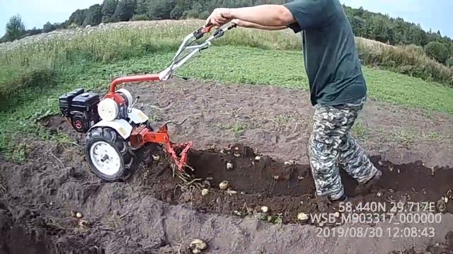 копка картошки мотоблоком фаворит смотреть онлайн