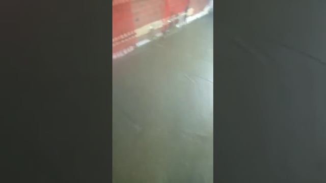 Бетонные полы на следующий день после заливки, Ижевск, Софт 93