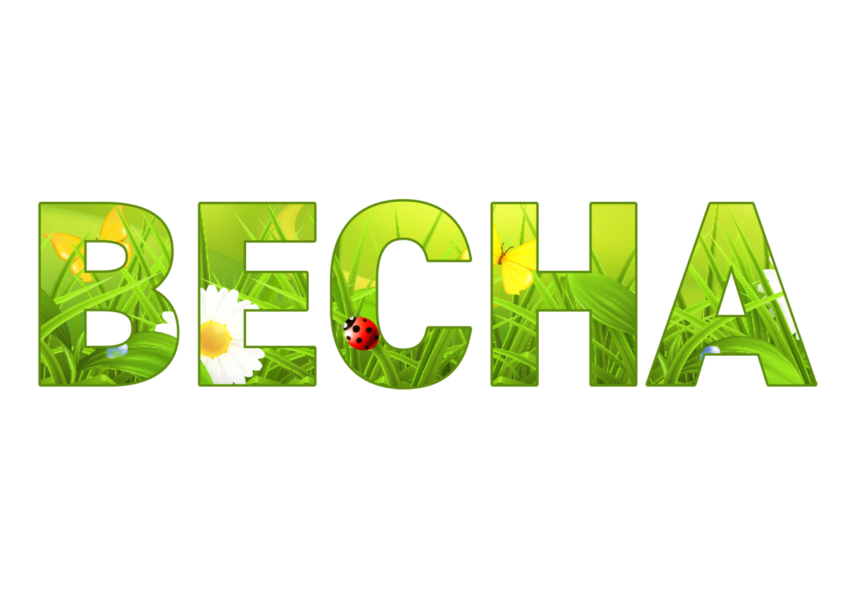 Track 0013 (Дельфин - Весна КАВЕР) смотреть онлайн