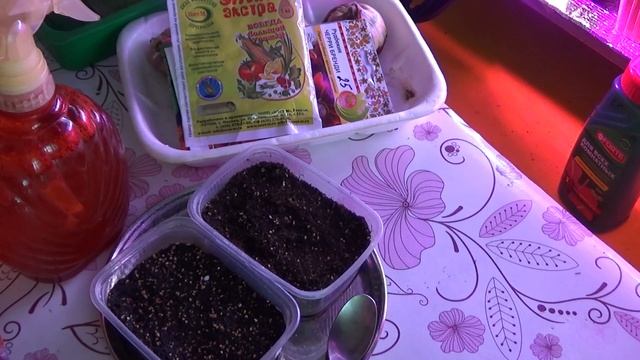 Сею львиный зев, особенности. 2021 г. смотреть онлайн