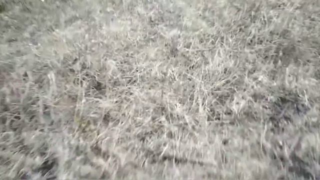 Паркур под музыку смотреть онлайн