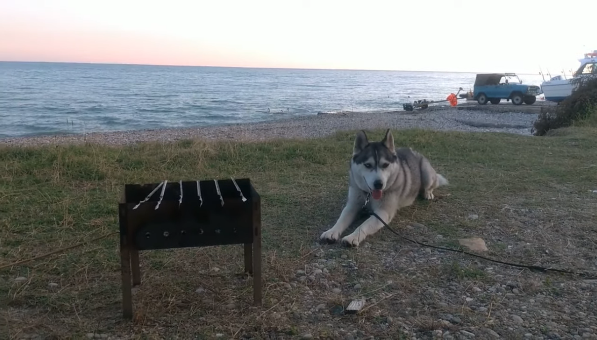 На Дастере по Абхазии. Часть 2: Черниговка, ущелье, Сухум. Отдых в Абхазии, горы, природа смотреть онлайн