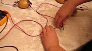 Электричество из картошки | Electricity from potato