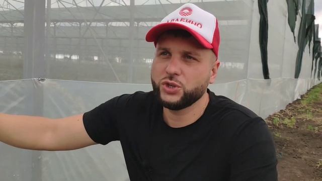 СТРОИТЕЛЬСТВО ТЕПЛИЦ. Затеняющая сетка, натяжка пленки смотреть онлайн