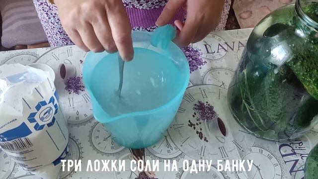 Огурцы прямого посола за 5 минут как из бочки || Рецепт смотреть онлайн