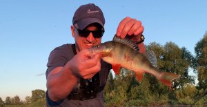 ОГО! А кто там? Ловля окуня на микроджиг в летнюю жару.