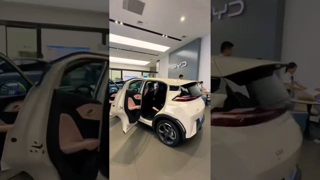 BYD SEAGAL best people's ev 2023 #chineseev #byd смотреть онлайн