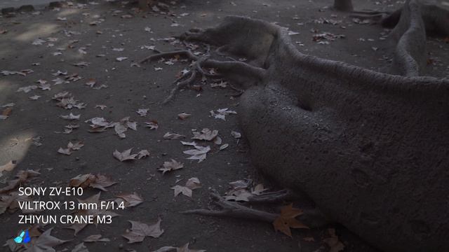 TEST SONY ZV-E10 + VILTROX 13 Mm F/1.4 + ZHIYUN CRANE M3