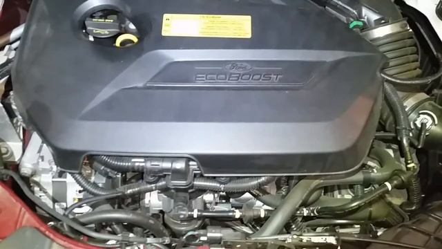 2014 Ford Escape SE EcoBoost 1.6: Here you go Jim смотреть онлайн