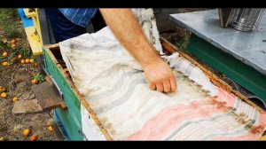 Сетка для сбора прополиса, проверяем!