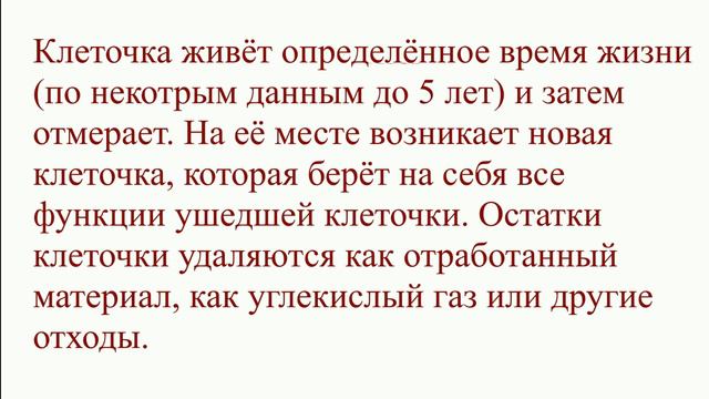 Точки соответствия 13 01 2024 смотреть онлайн