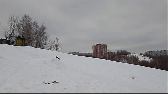 Кото лыжи в Крылатском смотреть онлайн