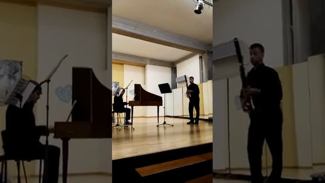 Concerto Barocco per 2 Flauti e Basso continuo смотреть онлайн