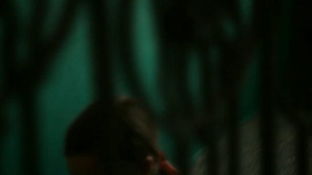A CINEMATIC SHORT #5 | Nikon D3300 | Helios 44-M смотреть онлайн
