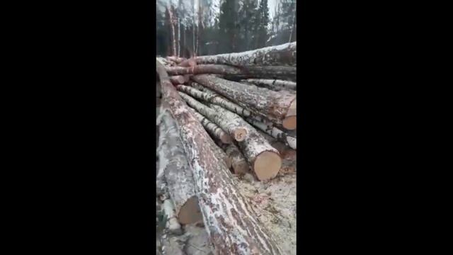 Отвал (толкатель) Штабелер для трактора МТЗ 1221 МТЗ 80 , 82 в работе от производителя смотреть онлайн