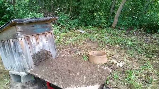 Уговорил остаться дома смотреть онлайн