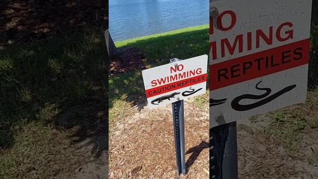 Рыбалка на Окуня в США смотреть онлайн