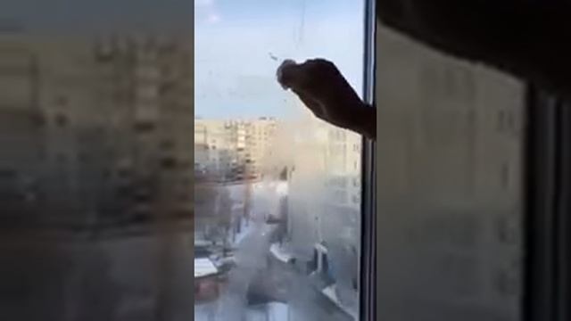 Домоведение