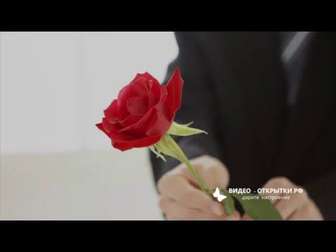 ТАТЬЯНИН ДЕНЬ смотреть онлайн