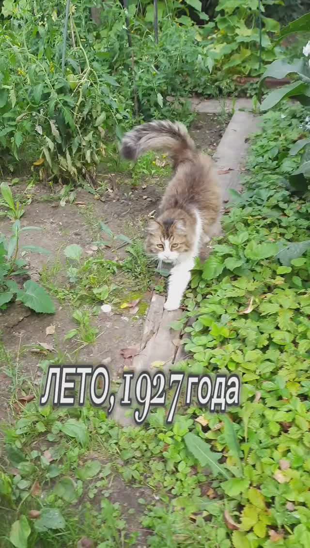 Лето - 1927. 12.08.2024. Любимые фильмы СССР