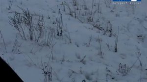 ШИКАРНАЯ ОХОТА НА ВОЛКА! САМЫЕ МЕТКИЕ СТРЕЛКИ! Охота с Леонидом Костюковым