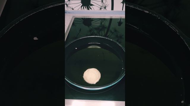 Простые рецепты