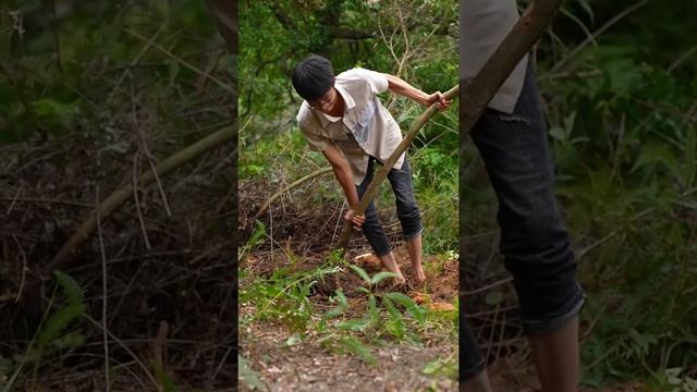 晨兴理荒秽，带花荷锄归，种一棵桃金娘，做一份花饼，明年院上花开，应该会很绚烂 смотреть онлайн