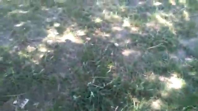 Вот так ловится Донская селёдка . смотреть онлайн