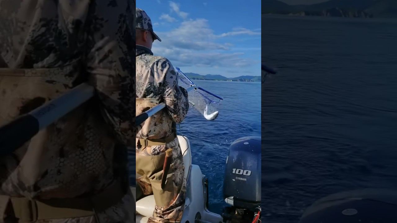 Рыбалка в экипировке от King Hunter – это всегда + 100 к удаче. Хороший улов вам гарантирован смотреть онлайн