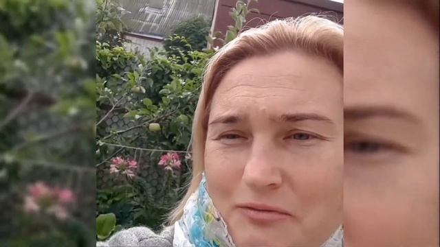 Про вертикальное озеленение.
.?
Что мы высаживаем в реале, а не в теории смотреть онлайн