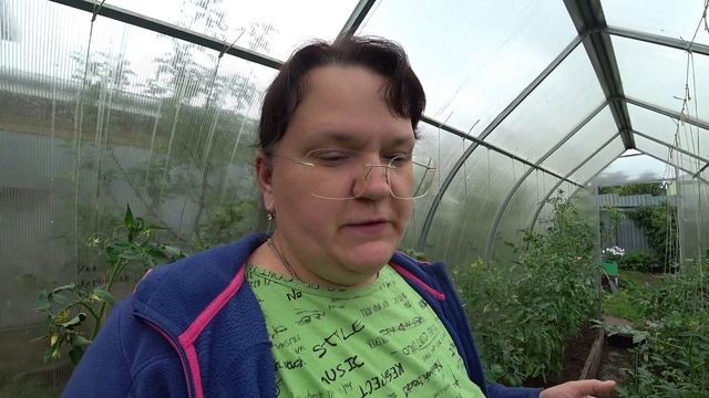 Грибковые заболевания на томатах смотреть онлайн