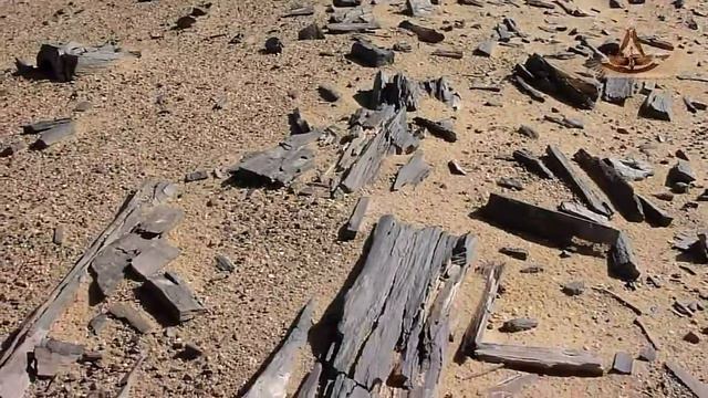 Petrified forest. Fayoum. الفيوم Окаменевший лес. Файюм. смотреть онлайн