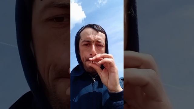 свисток из одуванчика,обучение,пасу коров,привычка у моих коров,мой бык ,позитивчик смотреть онлайн