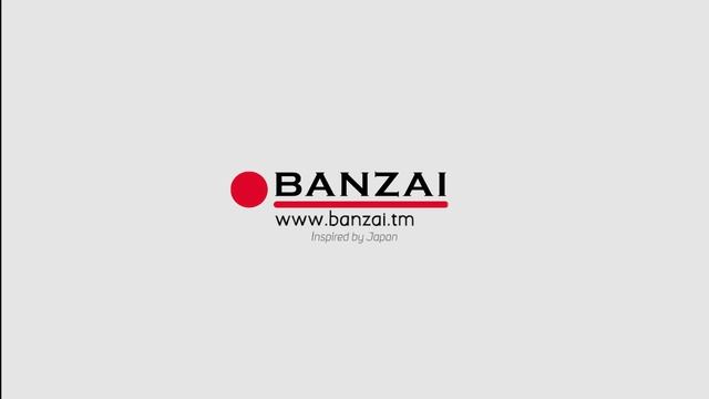 Плоский инновационный водонагреватель с сухим ТЭНом Banzai 50Dinox20 e-anode (электрический анод) смотреть онлайн