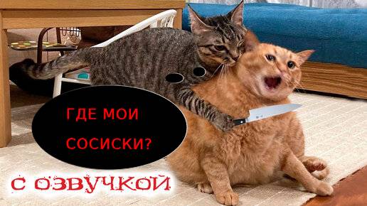 Приколы с котами! Смешная озвучка животных! Смешные коты! смотреть онлайн