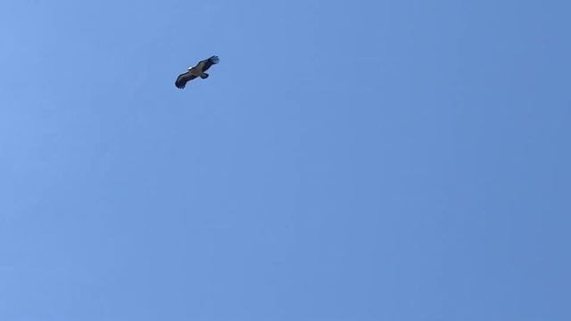 Берхтесгаден