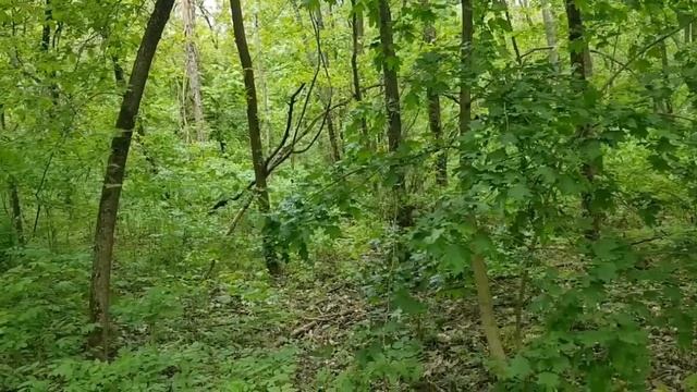 GRANDENIKO ПРИЗНАЛСЯ САМВЕЛ ВЫДУМЫВАЕТ БОЛЕЗНИ