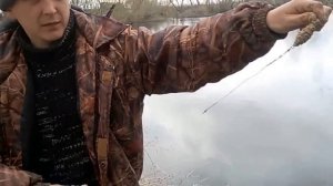 Обзор китайской сетки с кормушкой ч.1